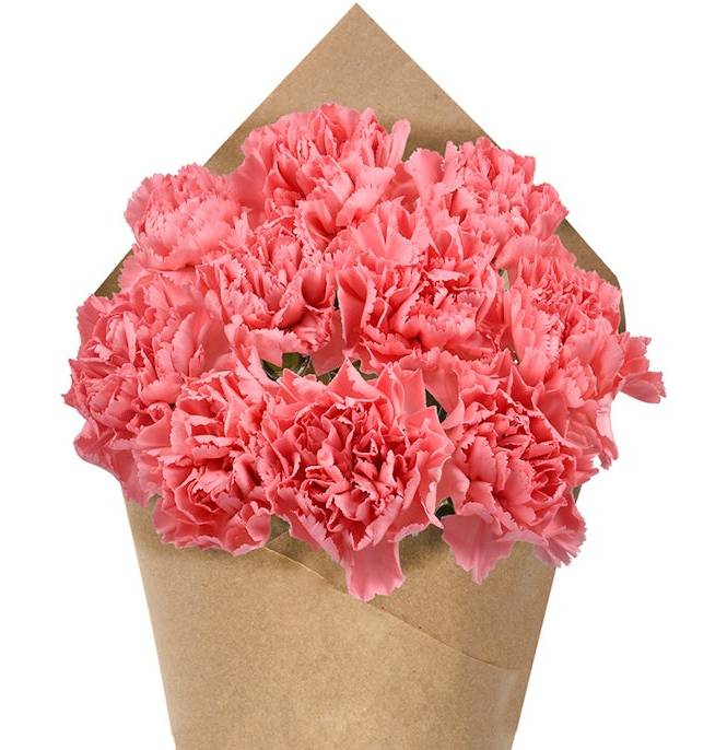 Carnation Bunch - Pink
