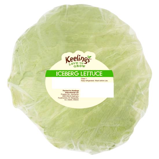 Keeling's Iceberg Lettuce