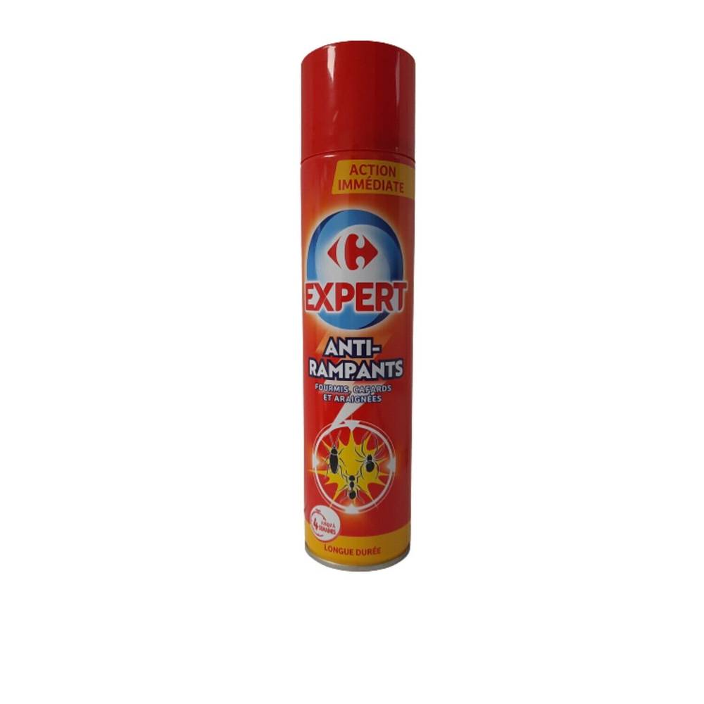 Insecticide anti rampants CARREFOUR EXPERT - la bombe de 400mL