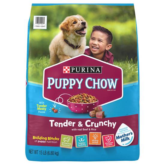 Purina Puppy Chow High Protein Dry Puppy Food, Tender & Crunchy With Real Beef - 15 Lb. Bag