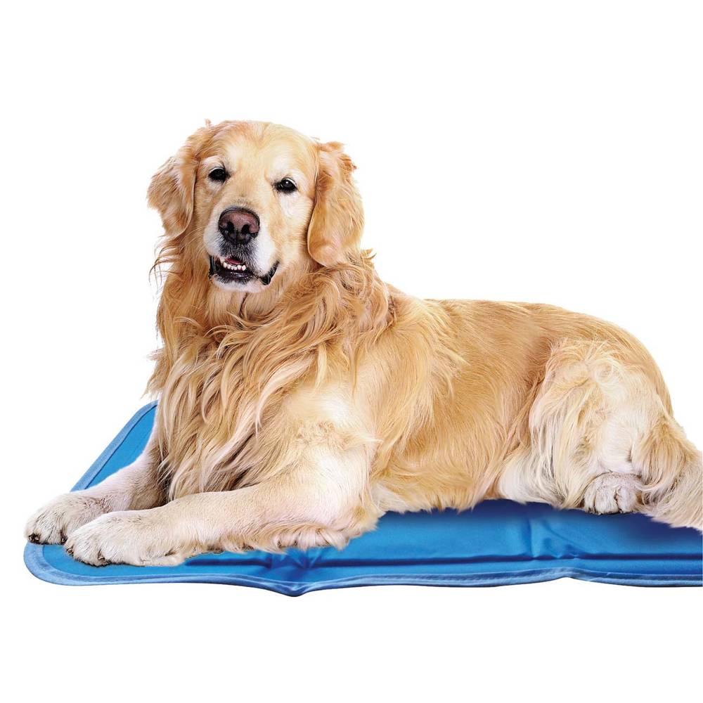 Green Pet Dog Bed Cool Pad, Small