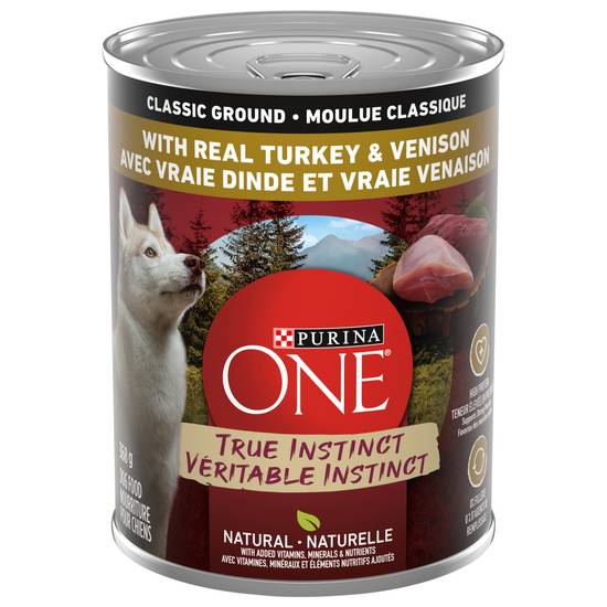 Purina One Turkey & Venison Dry Dog Food (368 g)