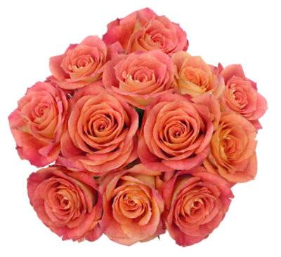 Roses Premium Ecuadorian Assorted - 12 Stem