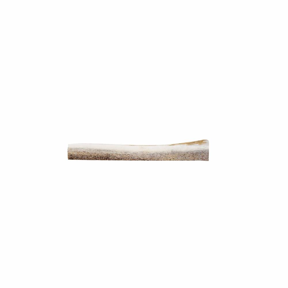 Primal Elk Antler, Medium