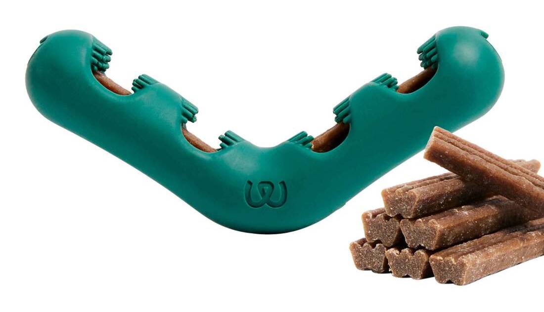 Woof Bite N' Brush Treat Dispenser Dog Toy, L