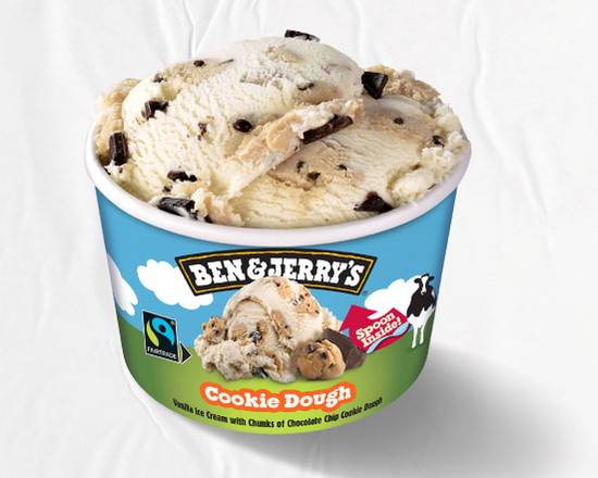 Ben & Jerry's Cookie Dough Ice Cream 100ml