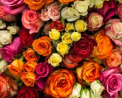 Mavy Flowers