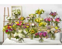 Floreria Deco Armonia Juli (Santiago Centro)