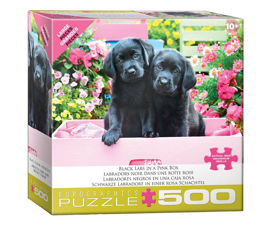 Eurographics labradors noir dans une boîte rose dès 10+ ans (500 unités)