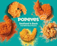 Popeyes Louisiana Chicken (2496 Blanding Blvd)