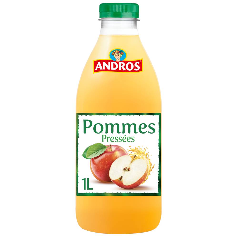 Andros jus de pomme (1 L)