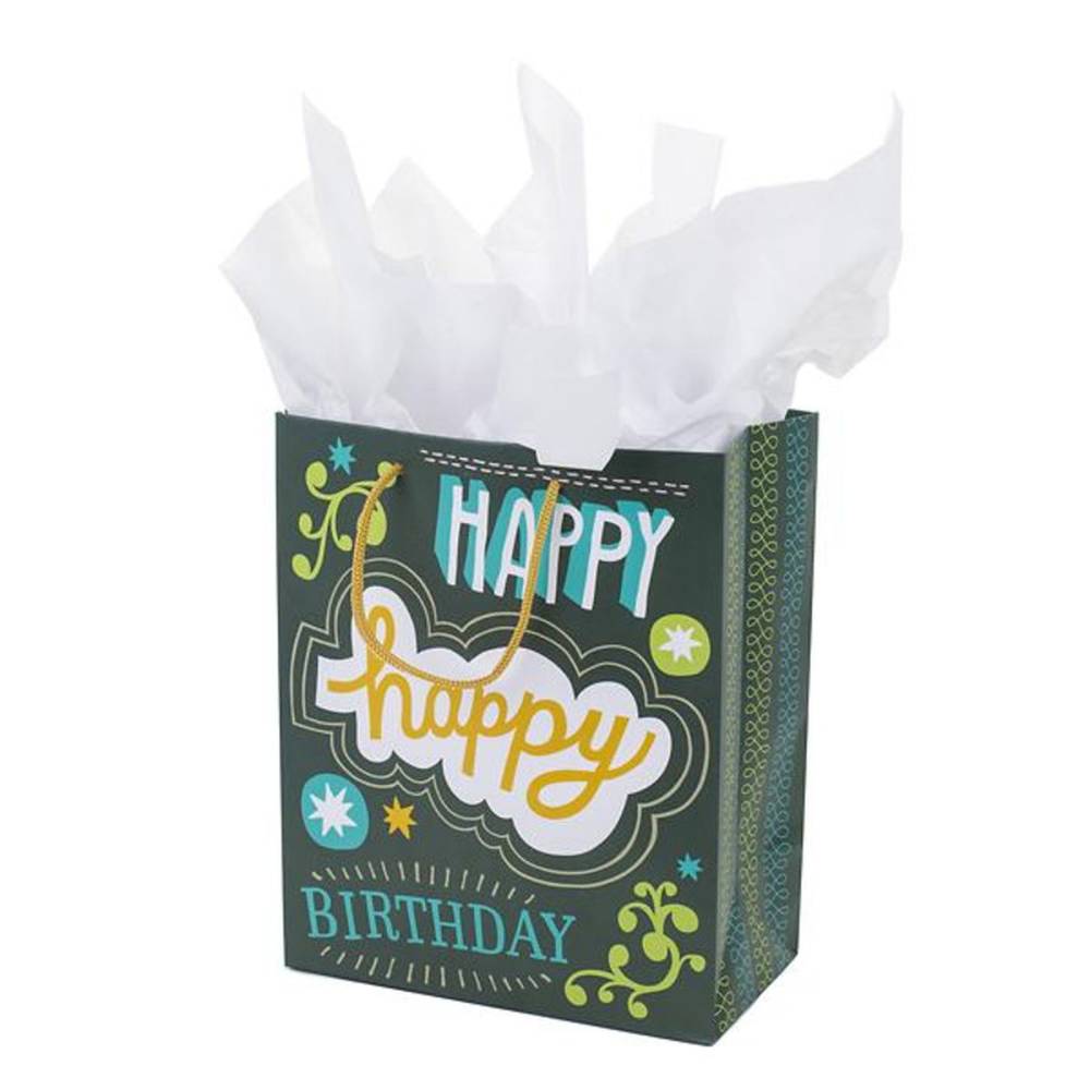 Hallmark Medium Birthday Gift Bag With Tissue Paper (No. 61) (Happy Happy Birthday) 1 Ea