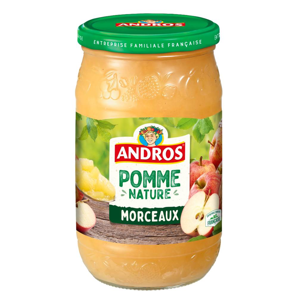 Andros - Compote de pommes morceaux (740g)