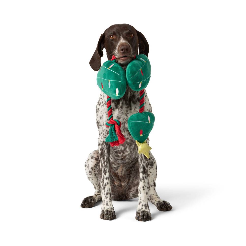 Merry & Bright Christmas Tree Rope Dog Toy, Green