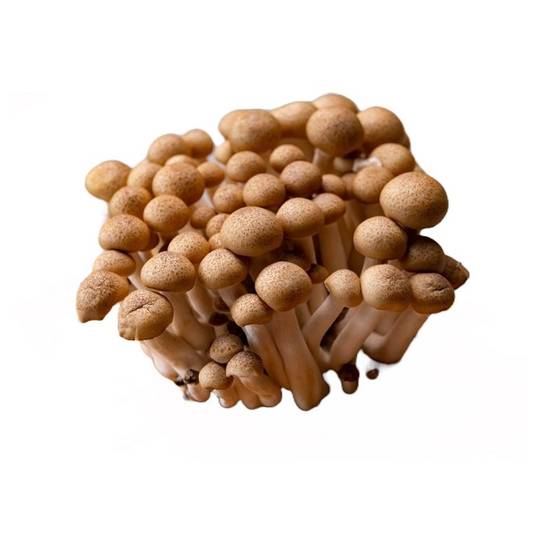 菇菇好有機鴻喜菇150g+-5%/包#743760