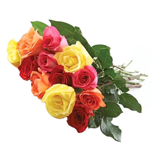 12 Stem Rose Bouquet  - Wrapped (colors vary depending on availability)