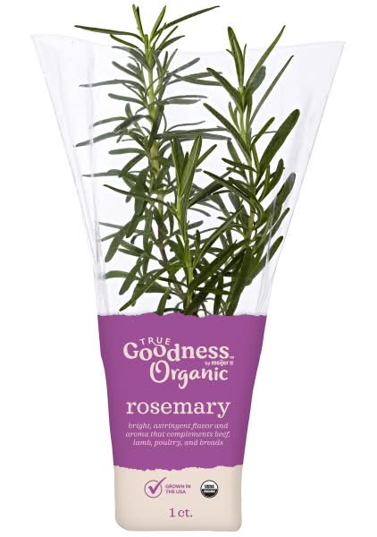 True Goodness Organic Potted Rosemary, 4 in