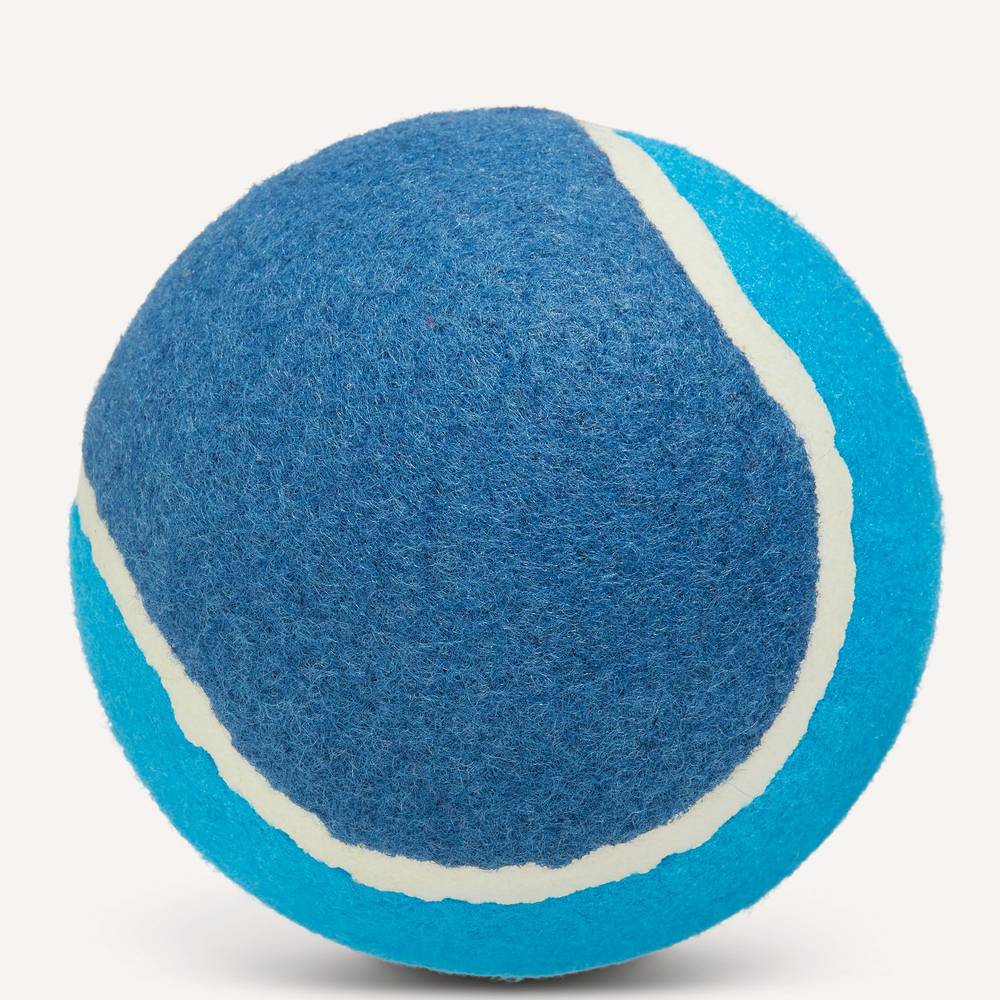 Joyhound Tennis Ball Dog Toy (5 inch/blue)