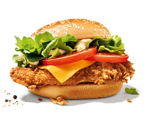 Colonel TS Burger