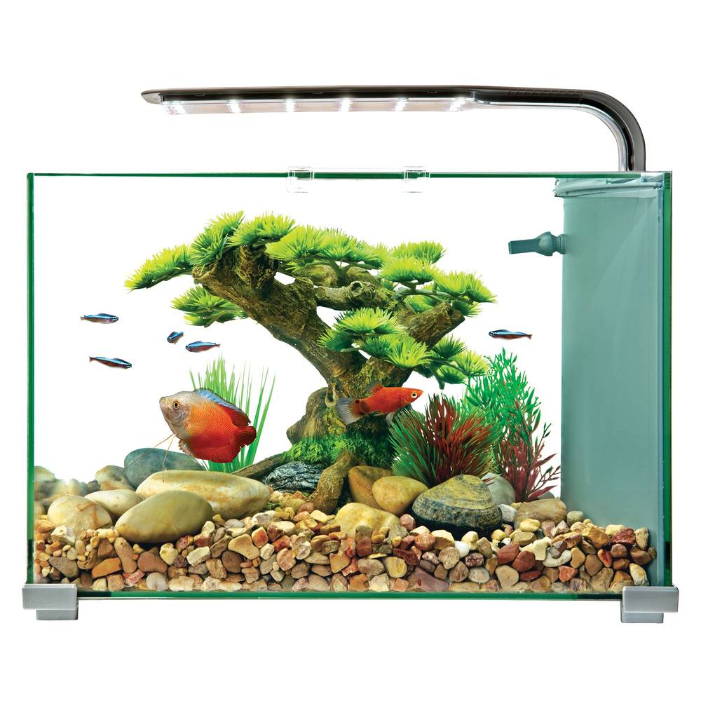 Top Fin® Premium Glass Aquarium - 5 Gallon (Size: 5 Gal)