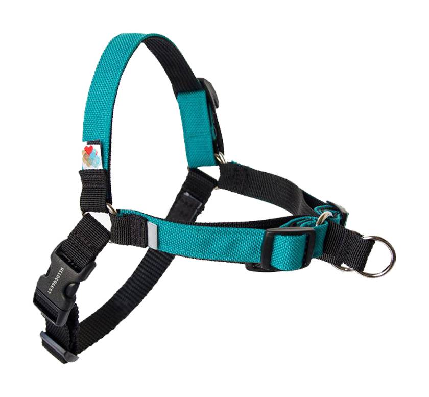 Wildebeest Linden No Pull Dog Harness (Turquoise) (X-Small)