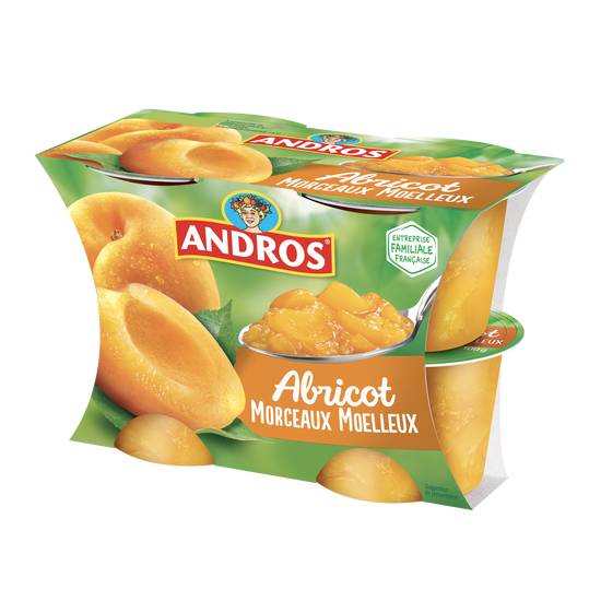 Andros dessert fruitier avec morceaux abricot (4 pièces)