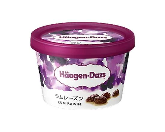 ラムレーズン ＨＤミニカップ 110ml