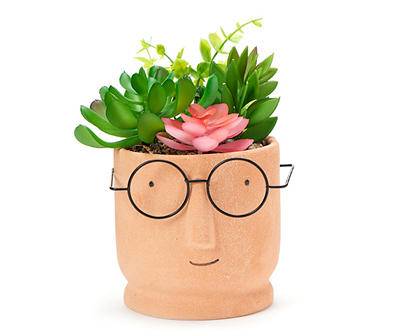 Artificial Succulents in Ceramic Face & Glasses Pot