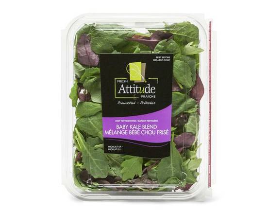 Fresh Attitude · Mélange de bébé chou frisé (142 g) - Baby kale blend (142 g)