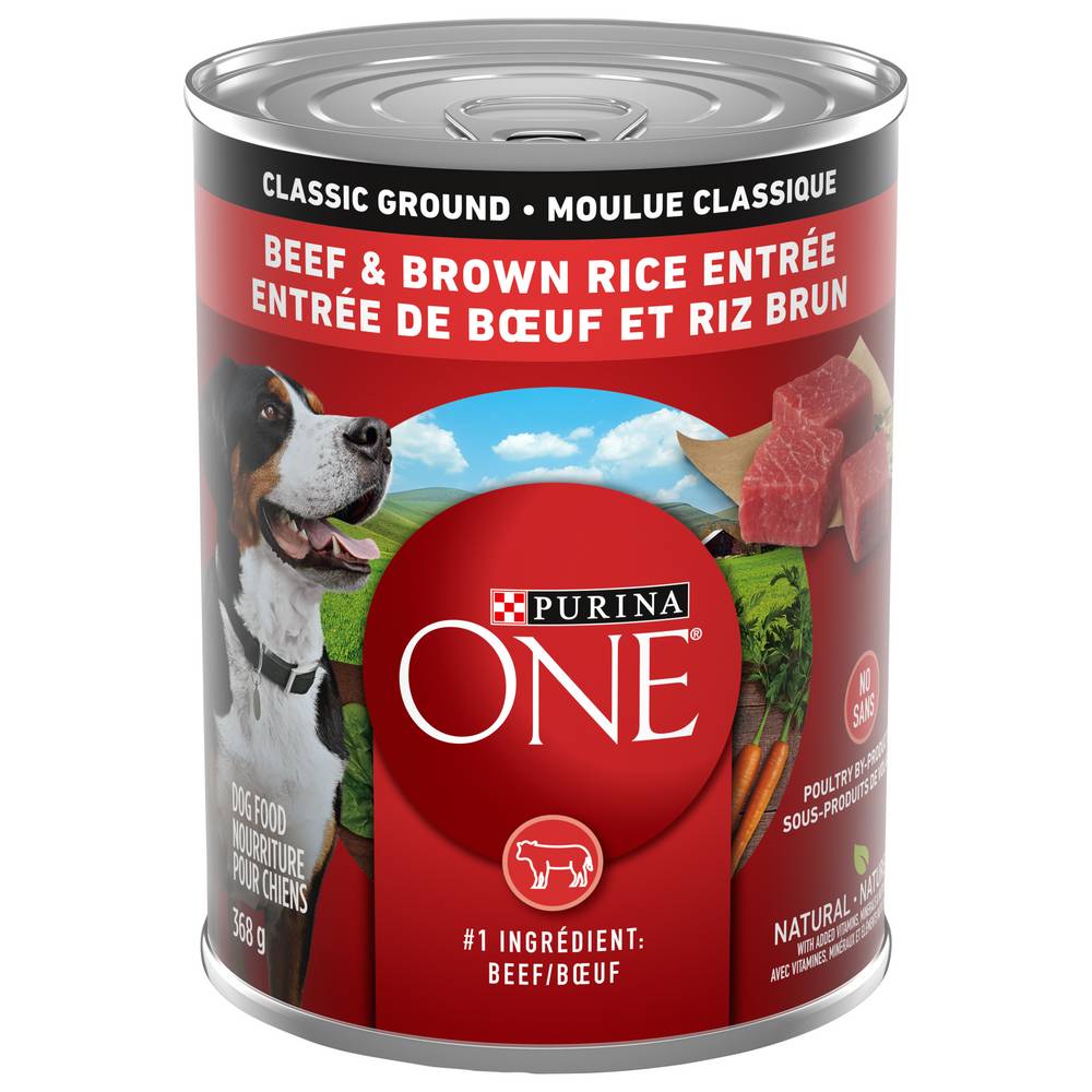 Purina One Beef & Brown Rice Wet Dog Food (368 g)