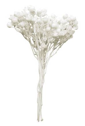 Arch.Ambiente · Árboles blanco 2-4 cm (211,8 g)