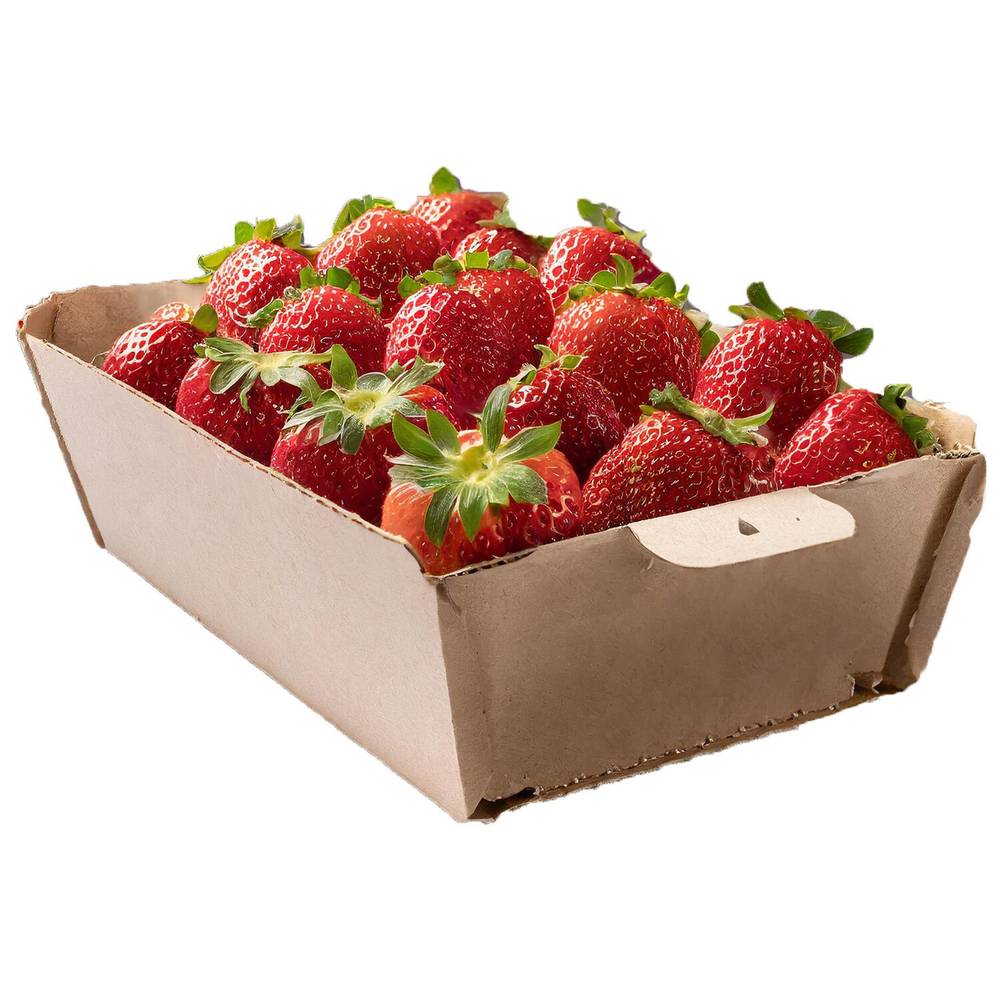 Fruitmasters - Fraises rondes