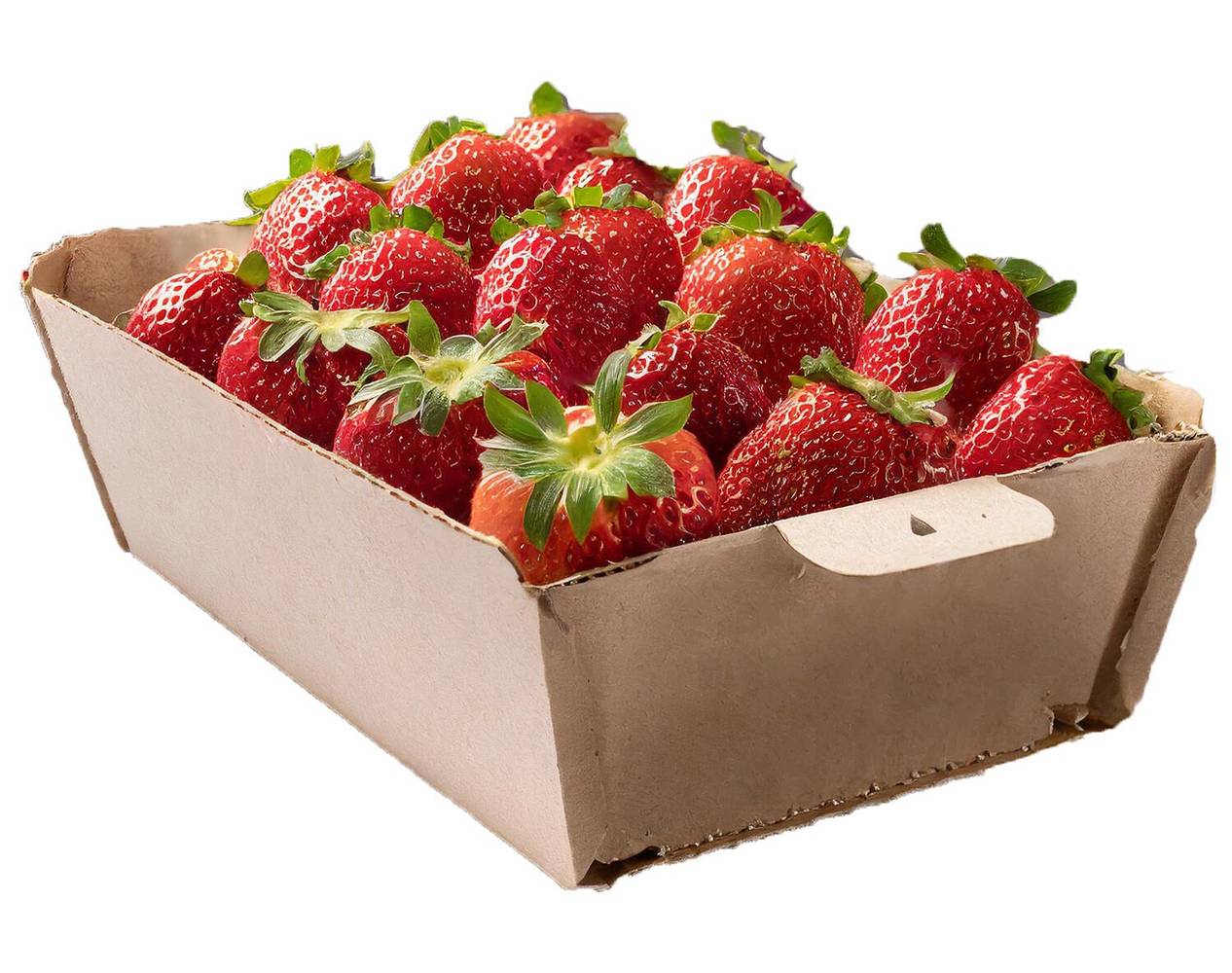 Fruitmasters - Fraises rondes
