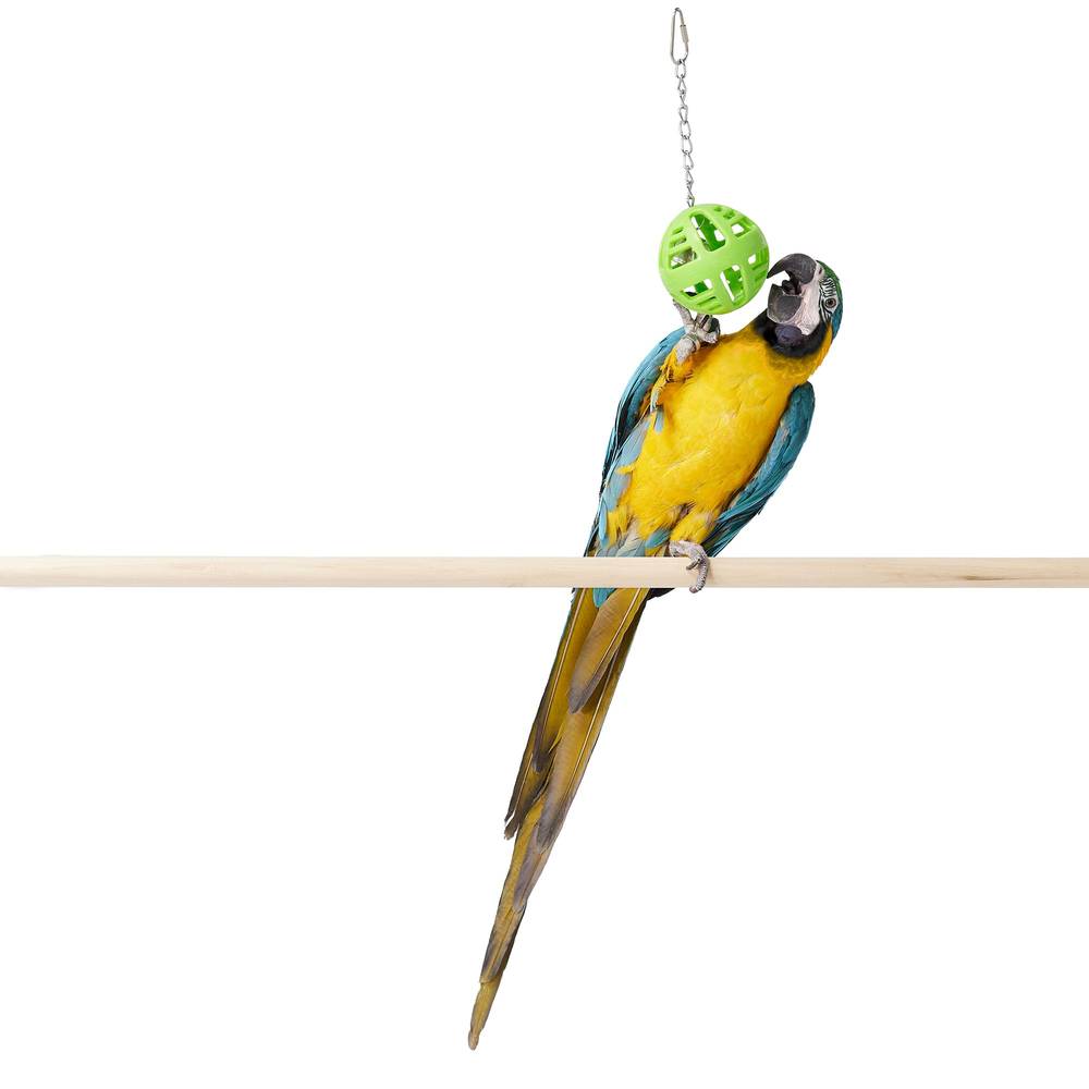 All Living Things® Holi Ball Bird Toy (COLOR VARIES) (Color: Assorted, Size: Medium/Large)