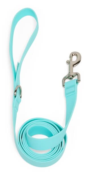 YOULY Waterproof Dog Leash, Light Blue, 6-ft long, 1-in wide