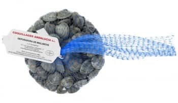 Chirla italiana fresca 500 g