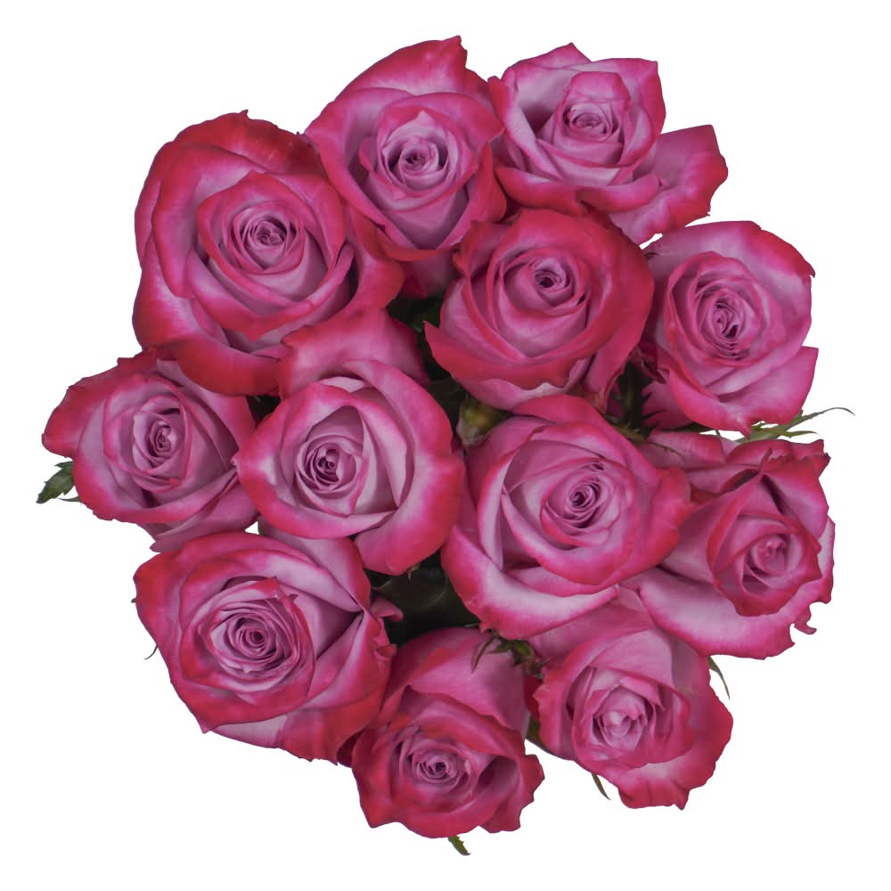 Bloom Haus Lavender Rose Bunch (12 ct)