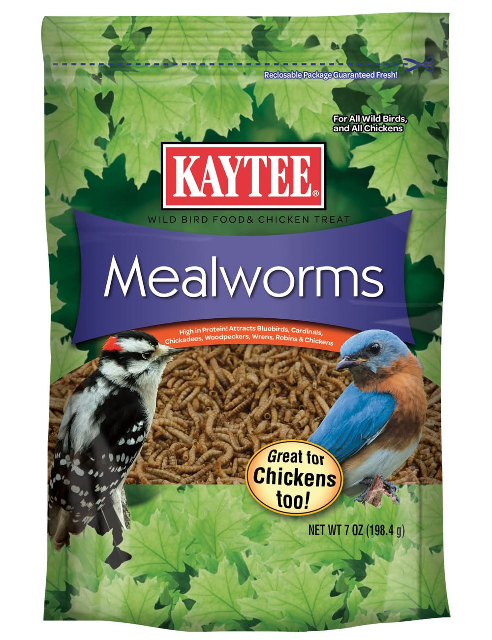 Kaytee Meal Worms Wild Bird Food (7 oz)