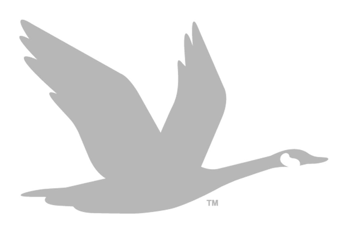 Teriyaki Chicken Steak & Egg Omelet Breakfast Hoagie