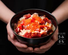 醤油をかけない海鮮丼 うみさち