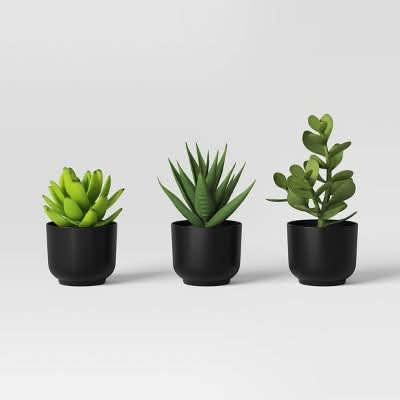 Room Essentials Succulent Artificial Pot, Black