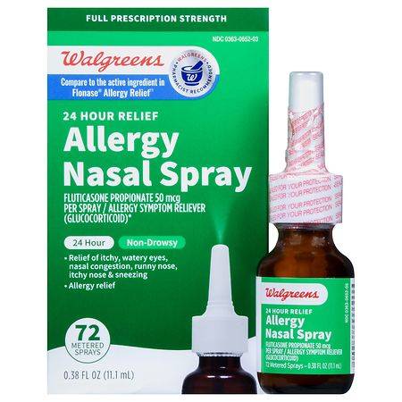 Walgreens 24 Hour Allergy Nasal Spray - 0.38 fl oz