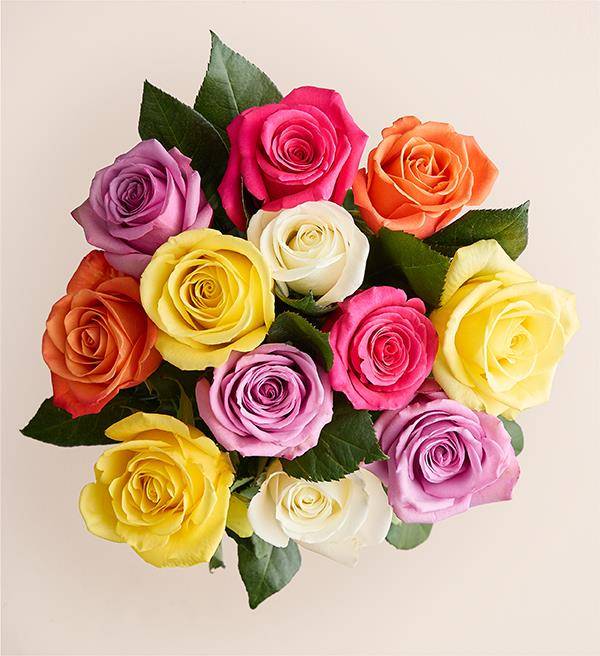 One Dozen Assorted Roses Bouquet