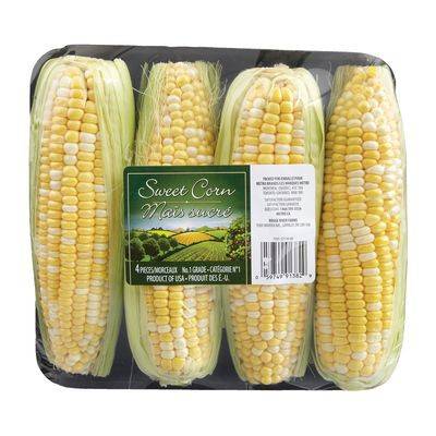 Maïs sucré emballé (4 unités par emballage) - Packed sweet corn (4 units)