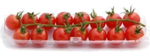 Truss Tomatoes Baby Approx. 110g Each