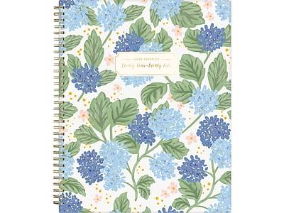 Blue Sky 2024-2025 Academic Weekly & Monthly Planner, Multicolor