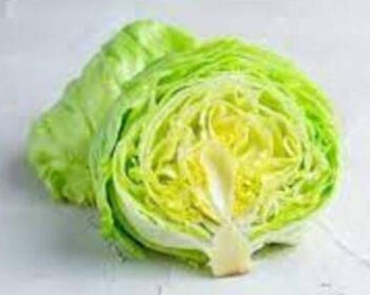 🥬追いレタス(15g)🥬 Lettuce