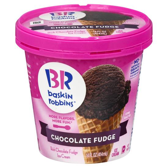 Baskin Robbins Chocolate Fudge Ice Cream (14 fl oz)