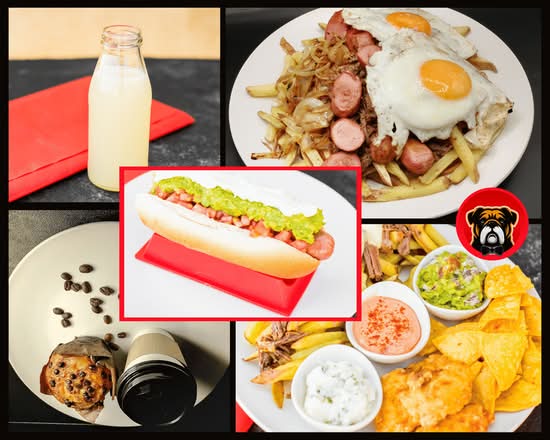 Sr.Bulldog (La Serena)