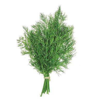 Aneth (1 botte) - Dill (1 bunch)